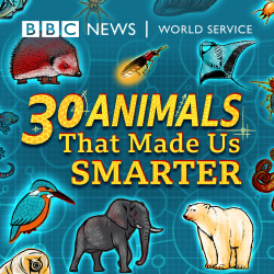 BBC News World Service: 30 animals that make us smarter
